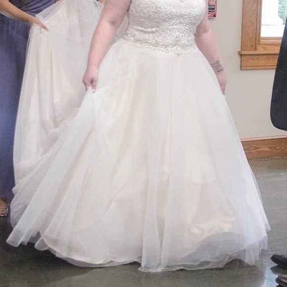 PLUS SIZE Wedding Dress - Picture 8 of 8